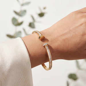Open Dual Band Nail Design Baby Kada Bangle | Gold Plated Pave CZ Screw Head Cuff for Women
